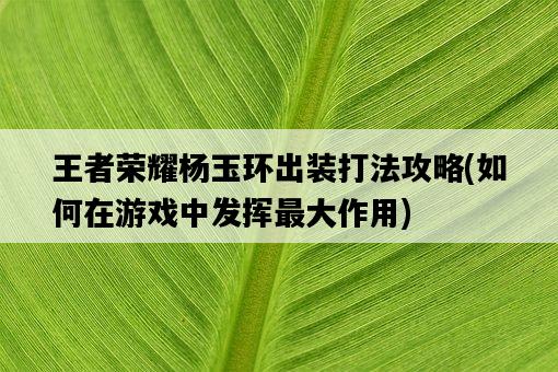 王者榮耀楊玉環出裝打法攻略，如何在游戲中發揮最大作用-圖1