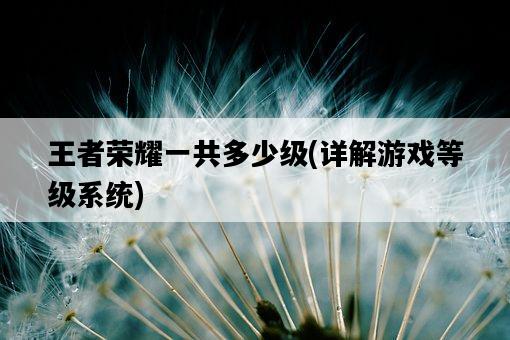 王者榮耀一共多少級,詳解游戲等級系統-圖1 王者榮耀一共多少級,詳解游戲等級系統-圖1