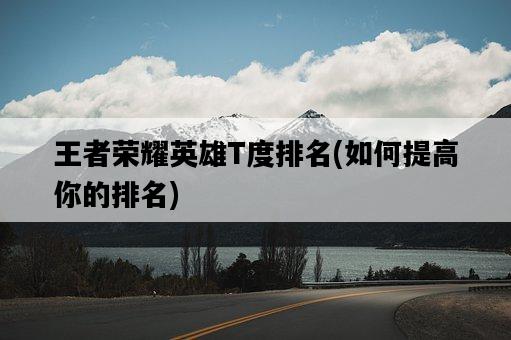 王者榮耀英雄T度排名,如何提高你的排名-圖1 王者榮耀英雄T度排名,如何提高你的排名-圖1