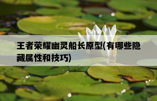 王者榮耀幽靈船長原型,有哪些隱藏屬性和技巧-圖1 王者榮耀幽靈船長原型,有哪些隱藏屬性和技巧-圖1