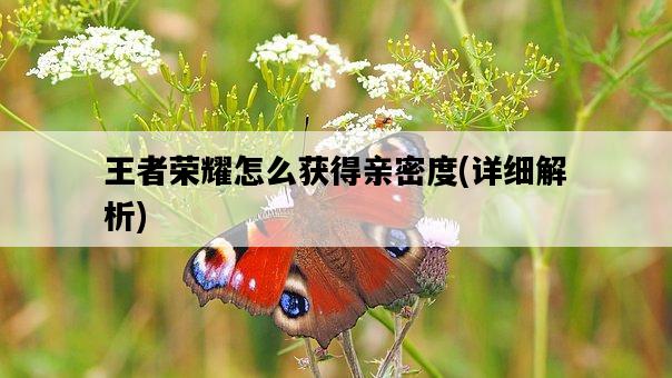 王者榮耀怎么獲得親密度，詳細解析-圖1