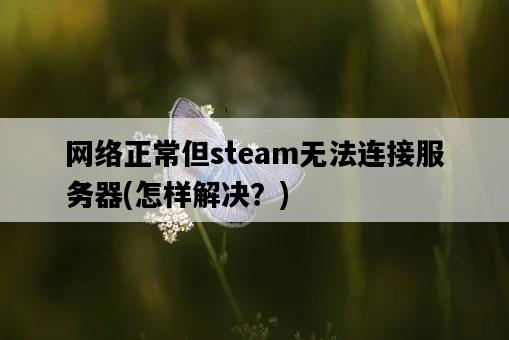 網絡正常但steam無法連接服務器,怎樣解決?-圖1 網絡正常但steam無法連接服務器,怎樣解決?-圖1