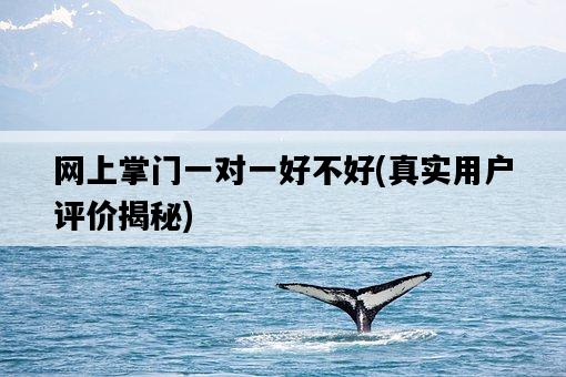 網上掌門一對一好不好，真實用戶評價揭秘-圖1