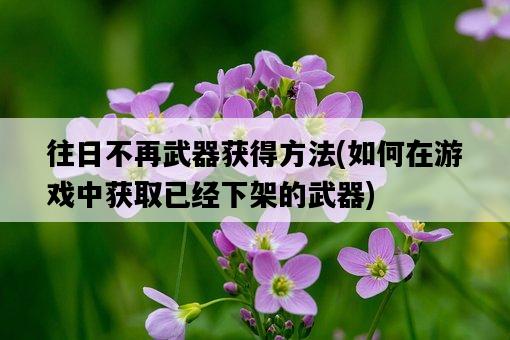 往日不再武器獲得方法，如何在游戲中獲取已經下架的武器-圖1