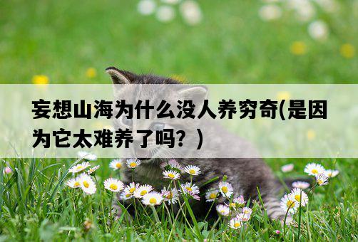 妄想山海為什么沒人養窮奇，是因為它太難養了嗎？-圖1
