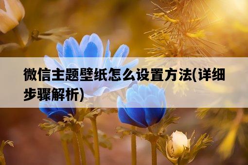 微信主題壁紙怎么設置方法，詳細步驟解析-圖1