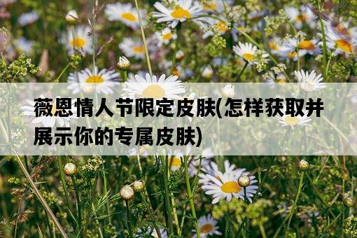薇恩情人節限定皮膚，怎樣獲取并展示你的專屬皮膚-圖1