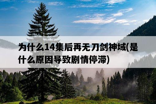 為什么14集后再無刀劍神域，是什么原因導致劇情停滯-圖1