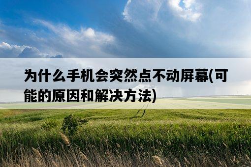 為什么手機會突然點不動屏幕，可能的原因和解決方法-圖1