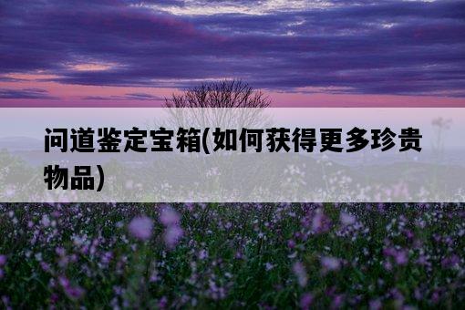 問道鑒定寶箱，如何獲得更多珍貴物品-圖1