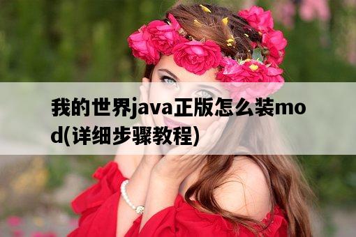 我的世界java正版怎么裝mod，詳細步驟教程-圖1