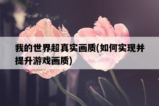 我的世界超真實畫質，如何實現并提升游戲畫質-圖1