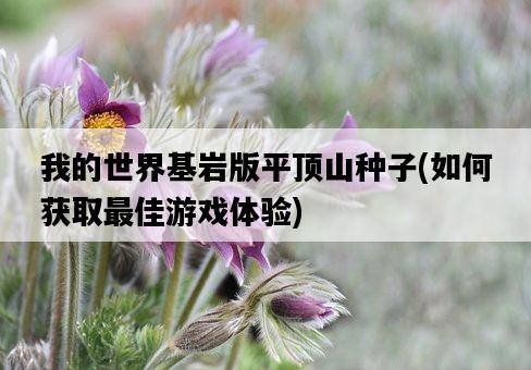 我的世界基巖版平頂山種子，如何獲取最佳游戲體驗-圖1