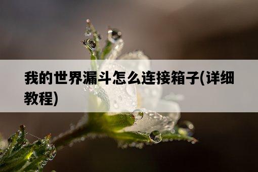 我的世界漏斗怎么連接箱子，詳細教程-圖1