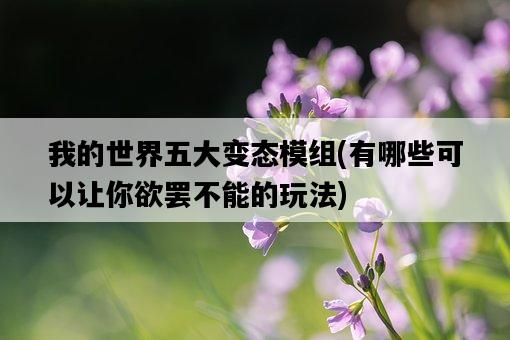 我的世界五大變態模組，有哪些可以讓你欲罷不能的玩法-圖1