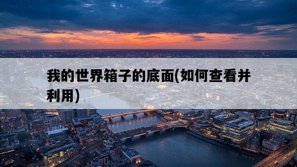 我的世界箱子的底面，如何查看并利用-圖1