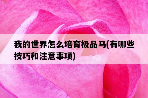 我的世界怎么培育極品馬，有哪些技巧和注意事項-圖1