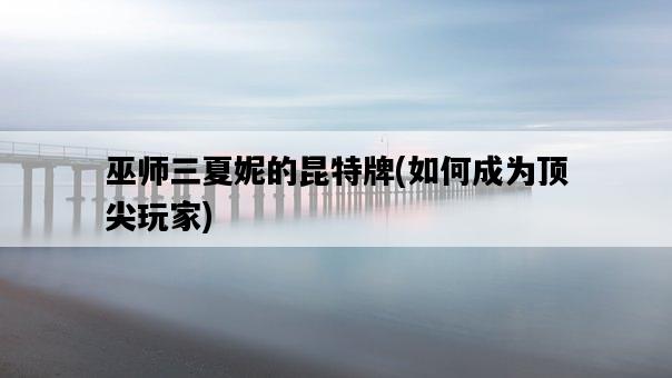 巫師三夏妮的昆特牌，如何成為頂尖玩家-圖1