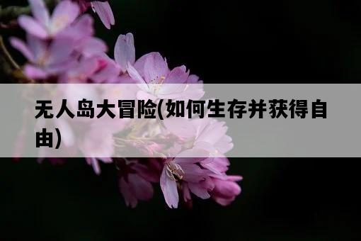 無人島大冒險，如何生存并獲得自由-圖1