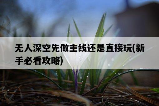 無人深空先做主線還是直接玩,新手必看攻略-圖1 無人深空先做主線還是直接玩,新手必看攻略-圖1