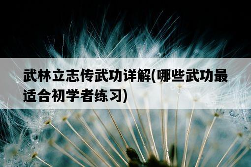 武林立志傳武功詳解，哪些武功最適合初學者練習-圖1