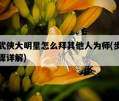 武俠大明星怎么拜其他人為師，步驟詳解-圖1