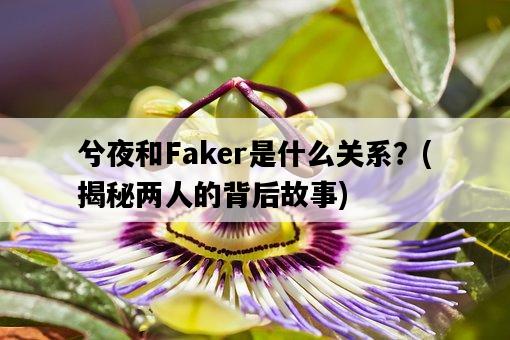 兮夜和Faker是什么關系?,揭秘兩人的背后故事-圖1 兮夜和Faker是什么關系?,揭秘兩人的背后故事-圖1