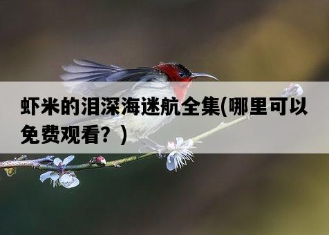 蝦米的淚深海迷航全集，哪里可以免費觀看？-圖1
