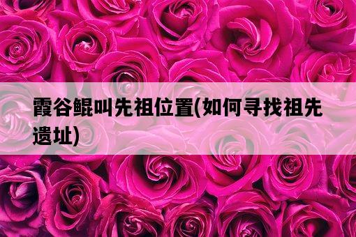 霞谷鯤叫先祖位置，如何尋找祖先遺址-圖1