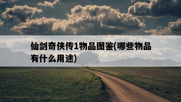 仙劍奇俠傳1物品圖鑒，哪些物品有什么用途-圖1