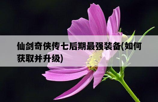 仙劍奇俠傳七后期最強裝備，如何獲取并升級-圖1