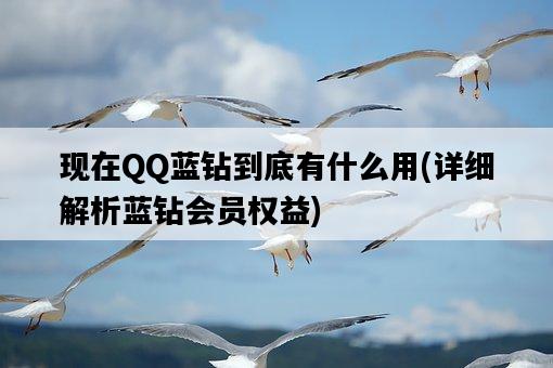 現在QQ藍鉆到底有什么用，詳細解析藍鉆會員權益-圖1