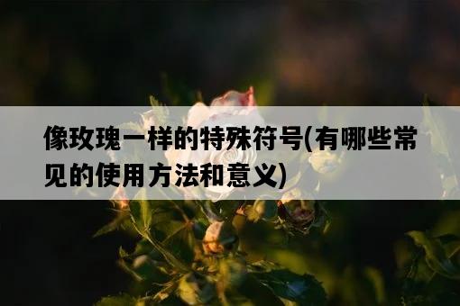 像玫瑰一樣的特殊符號，有哪些常見的使用方法和意義-圖1