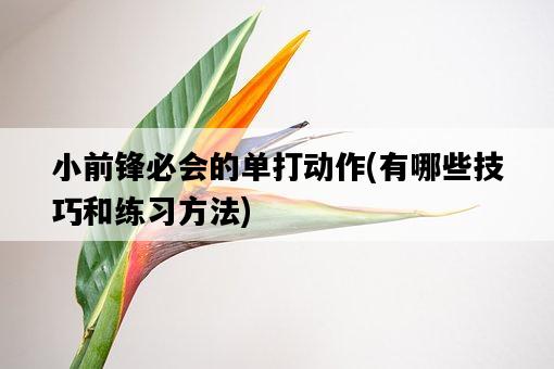 小前鋒必會的單打動作，有哪些技巧和練習方法-圖1