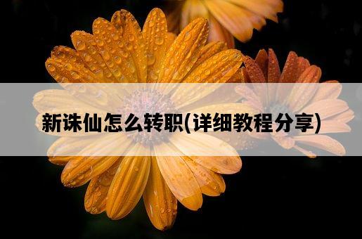 新誅仙怎么轉職，詳細教程分享-圖1