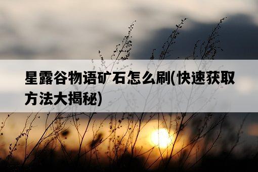 星露谷物語礦石怎么刷,快速獲取方法大揭秘-圖1 星露谷物語礦石怎么刷,快速獲取方法大揭秘-圖1
