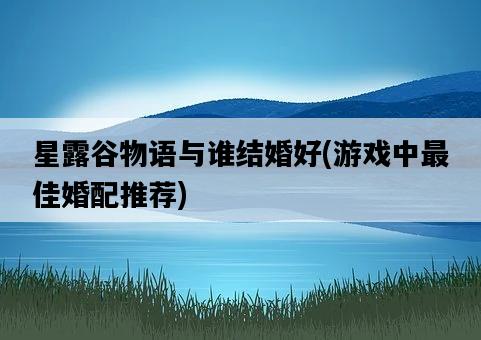 星露谷物語與誰結婚好，游戲中最佳婚配推薦-圖1
