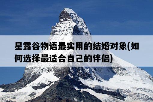 星露谷物語最實用的結婚對象，如何選擇最適合自己的伴侶-圖1