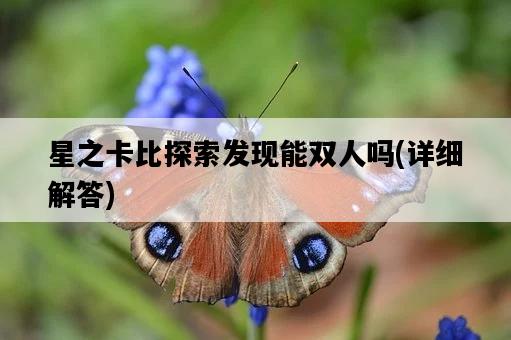 星之卡比探索發現能雙人嗎，詳細解答-圖1