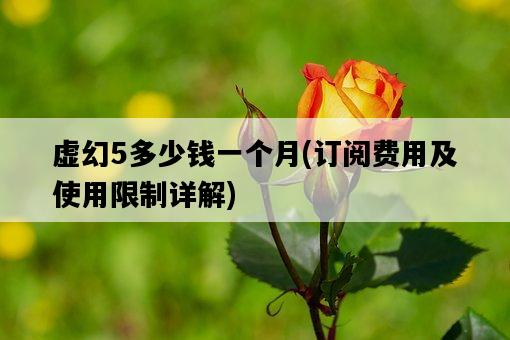 虛幻5多少錢一個月，訂閱費用及使用限制詳解-圖1