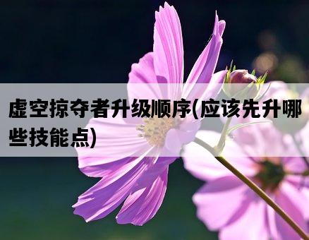 虛空掠奪者升級順序，應該先升哪些技能點-圖1