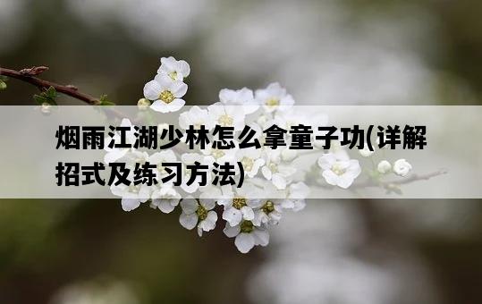 煙雨江湖少林怎么拿童子功，詳解招式及練習方法-圖1