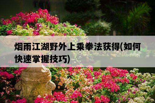 煙雨江湖野外上乘拳法獲得，如何快速掌握技巧-圖1