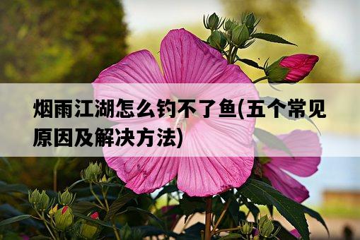 煙雨江湖怎么釣不了魚，五個常見原因及解決方法-圖1