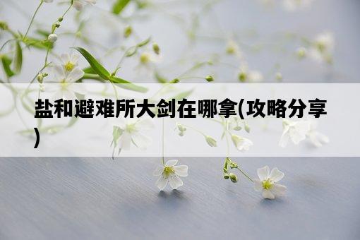 鹽和避難所大劍在哪拿，攻略分享-圖1