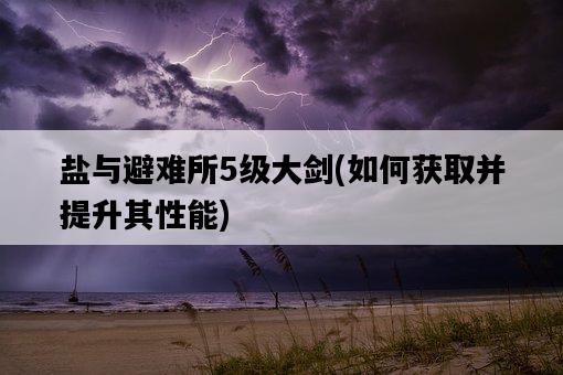 鹽與避難所5級大劍，如何獲取并提升其性能-圖1
