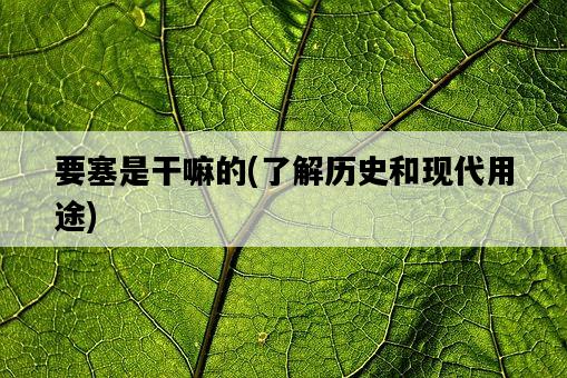 要塞是干嘛的，了解歷史和現代用途-圖1