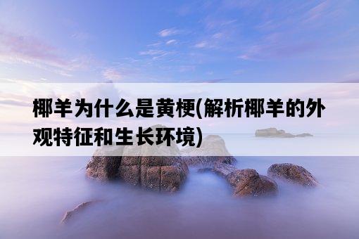 椰羊為什么是黃梗，解析椰羊的外觀特征和生長環境-圖1
