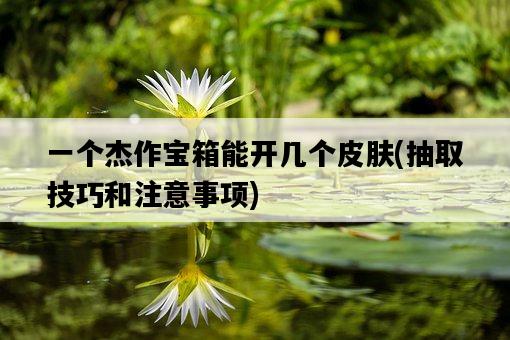 一個杰作寶箱能開幾個皮膚，抽取技巧和注意事項-圖1