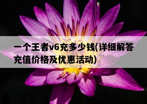一個王者v6充多少錢，詳細解答充值價格及優惠活動-圖1